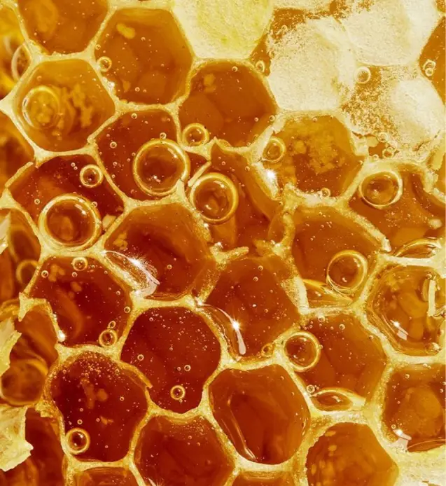 الصفحة الرئيسية Banner Image