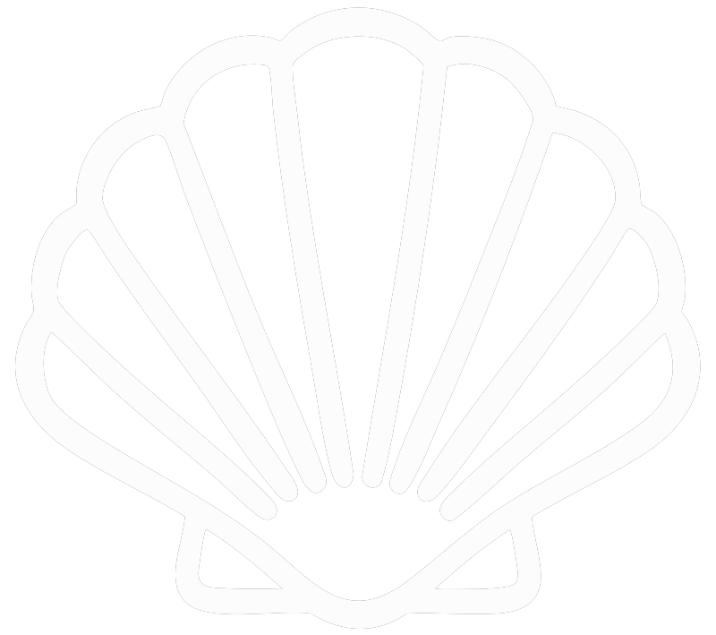 الصفحة الرئيسية 3526cd25 c2df 45ed 9958 01f63257297f